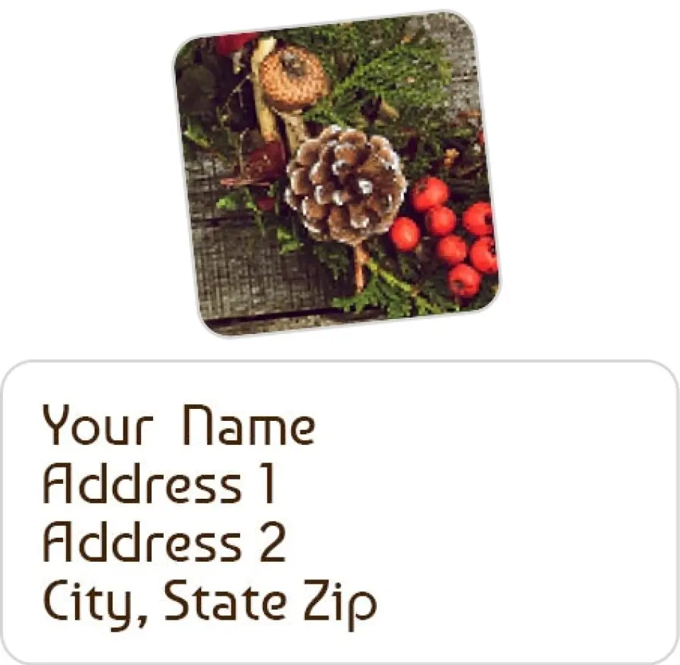 This is a 2¼" x 1" Labels; 1" x 1" Seals Return Address Labels & Seal Set called Rustic Seasons printed in full color