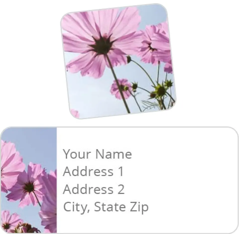 This is a 2¼" x 1" Labels; 1" x 1" Seals Label & Seal Set called Sun Kissed Cosmos printed in full color
