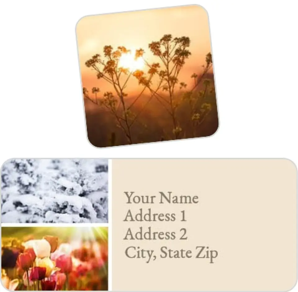 This is a 2¼" x 1" Labels; 1" x 1" Seals Label & Seal Set called Natural Rhythm printed in full color
