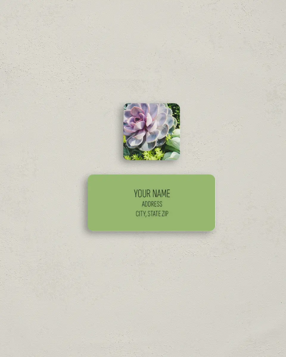 This is a 2¼" x 1" Labels; 1" x 1" Seals Return Address Label called Sophisticated Succulents printed in full color