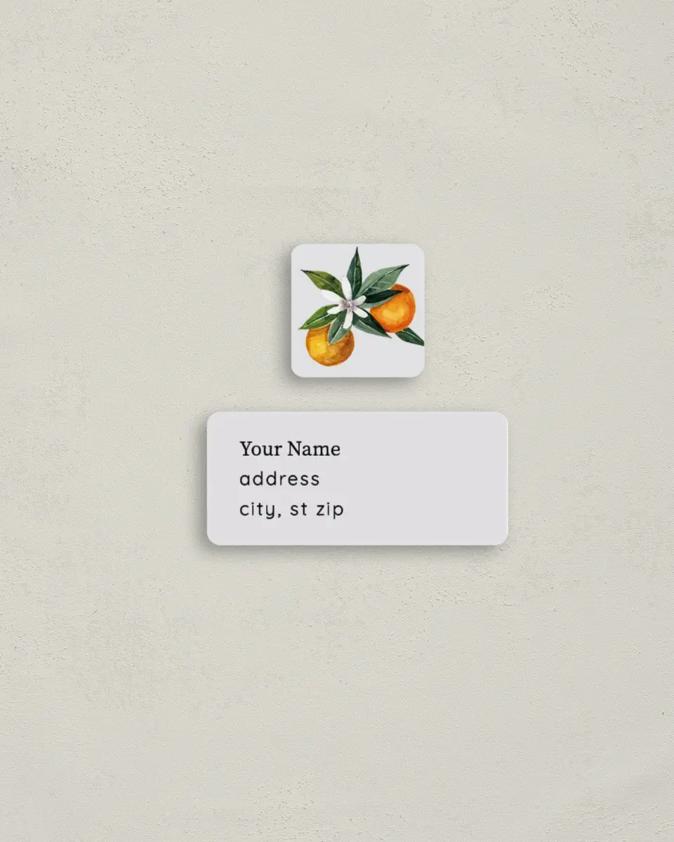 This is a 2¼" x 1" Labels; 1" x 1" Seals Return Address Label called Mod Citrus printed in full color