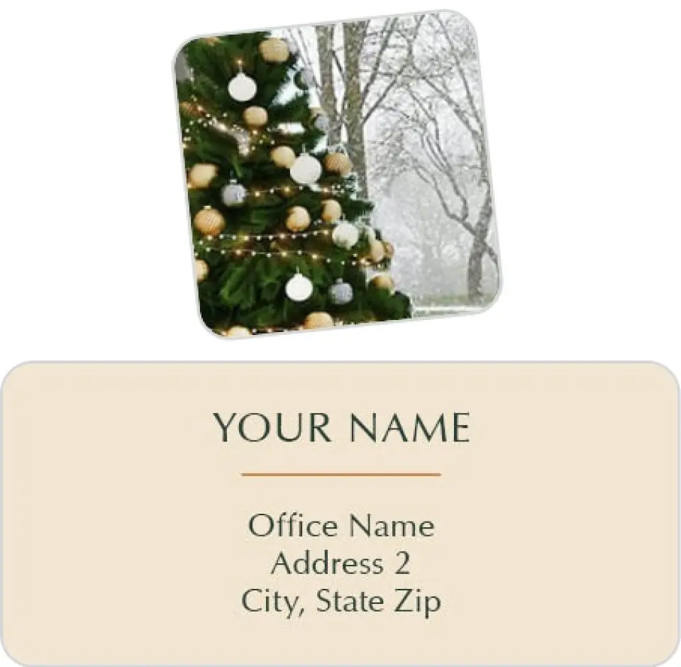 This is a 2¼" x 1" Labels; 1" x 1" Seals Return Address Label called Home Spaces printed in full color