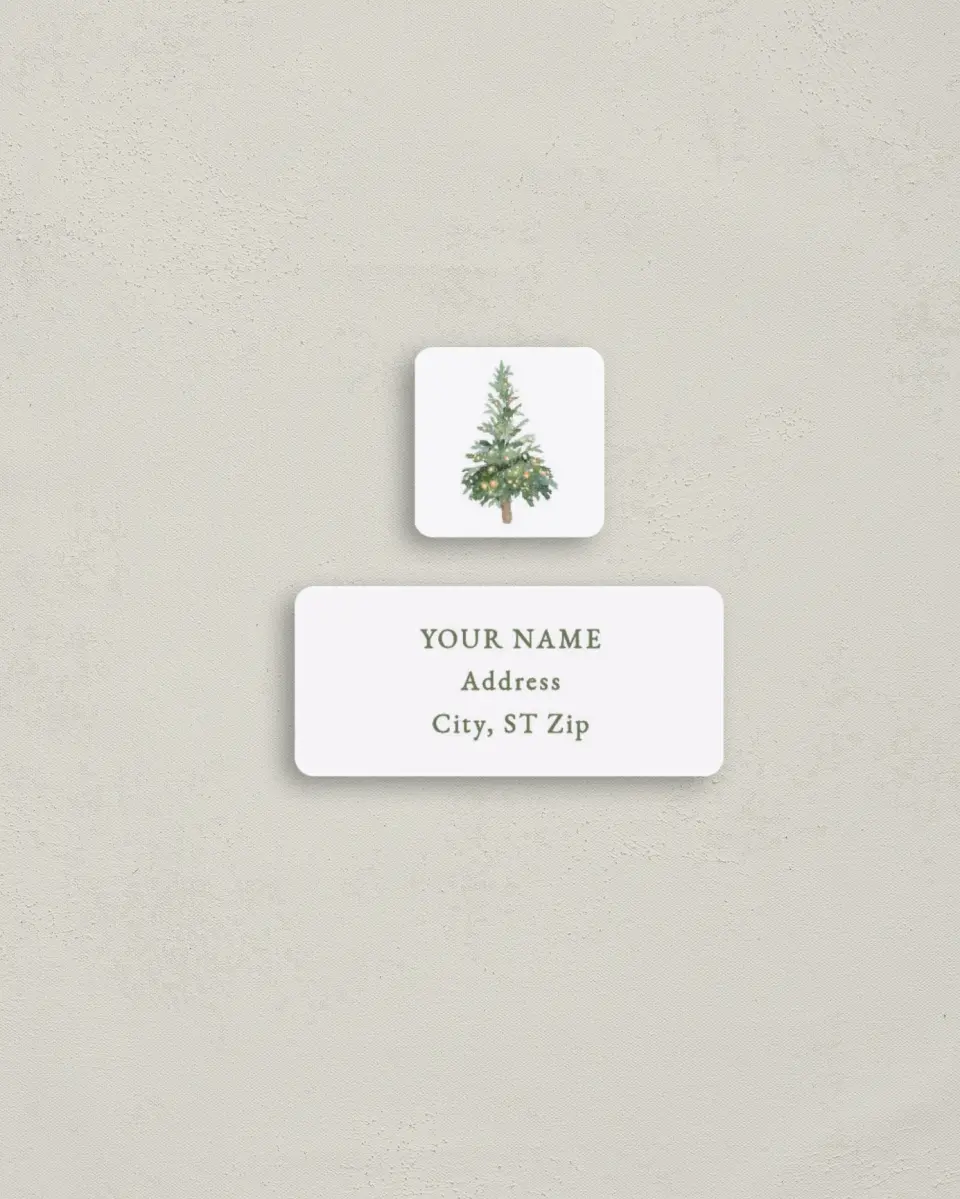 This is a 2¼" x 1" Labels; 1" x 1" Seals Return Address Label called Snowy Home printed in full color