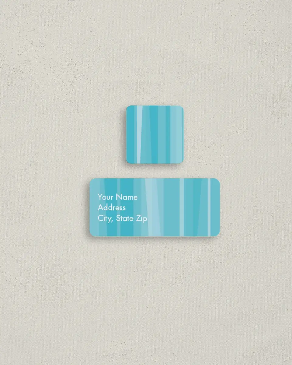 This is a 2¼" x 1" Labels; 1" x 1" Seals Return Address Label called Little Brother printed in full color