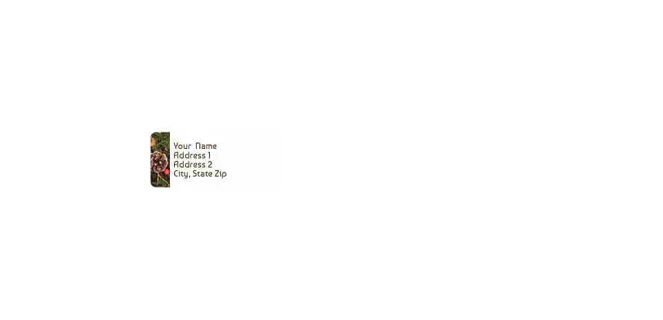 Small Return Address Labels