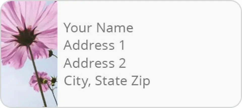 This is a 1" x 2¼" Address Label called Sun Kissed Cosmos printed in full color