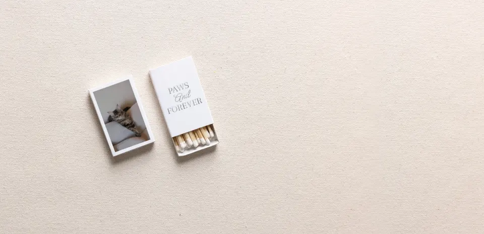 Personalized Matchboxes Spine