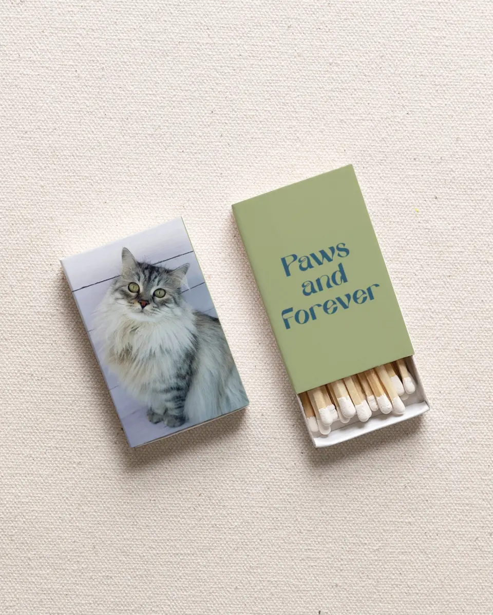 This is a 2.25" x 1.409" x .4" Wedding Matche called American Longhair/Maine Coon (Sketch) printed in full color with Gold foil
