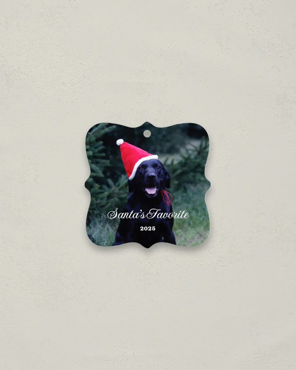 This is a 3" x 3" Metal Ornament called Santa's Favorite printed in full color