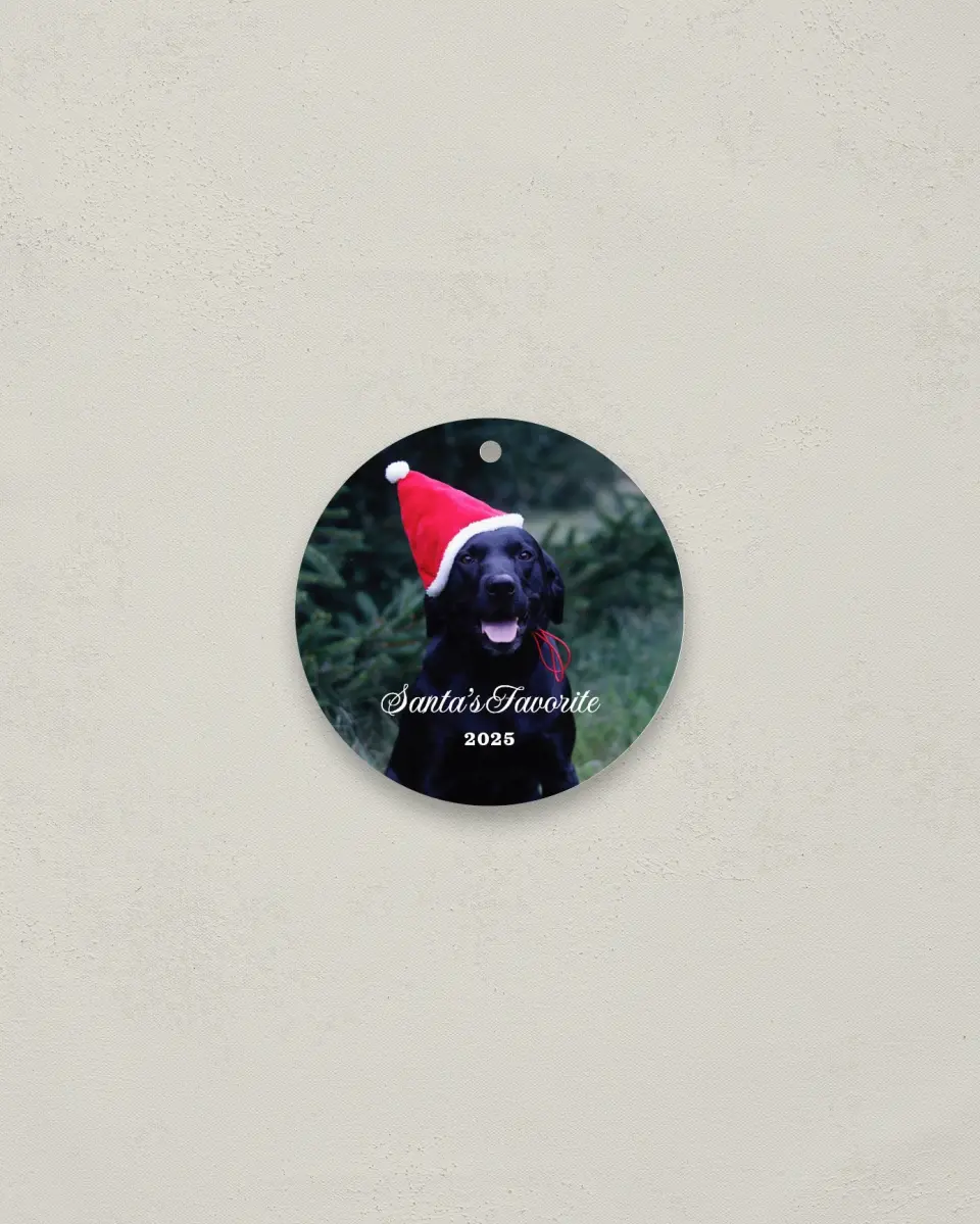 This is a 2¾" x 2¾" Metal Ornament called Santa's Favorite printed in full color