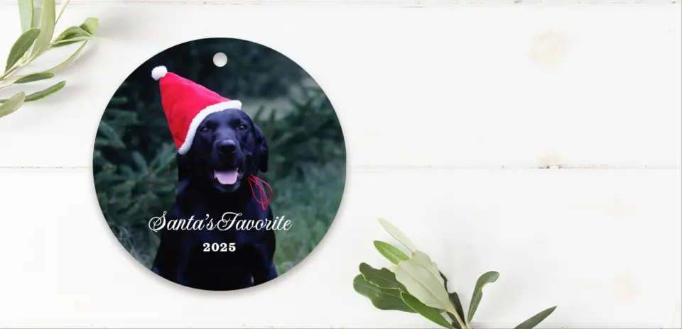 Ornament Front