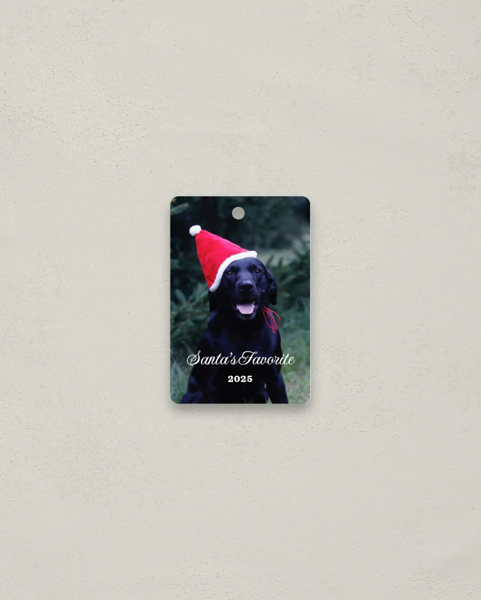 This is a 2" x 3" Metal Ornament called Santa's Favorite printed in full color