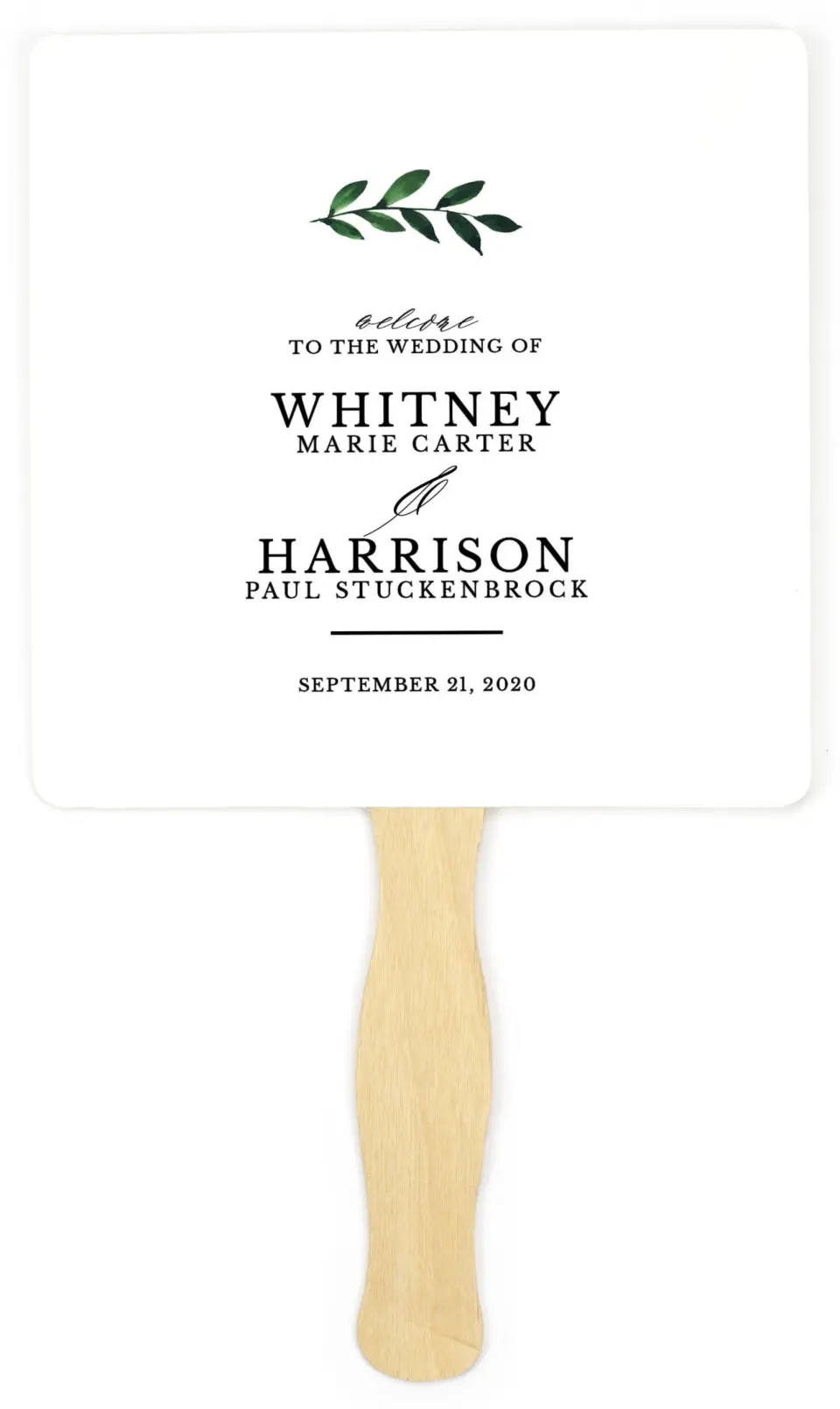 This is a 6¼" x 6¼" Wedding Program Fan called Wispy Greenery printed in full color on Premium Smooth paper