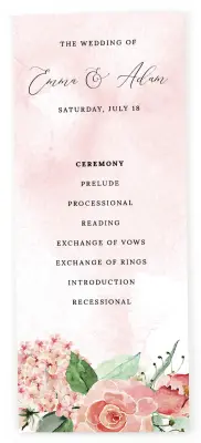 Programs