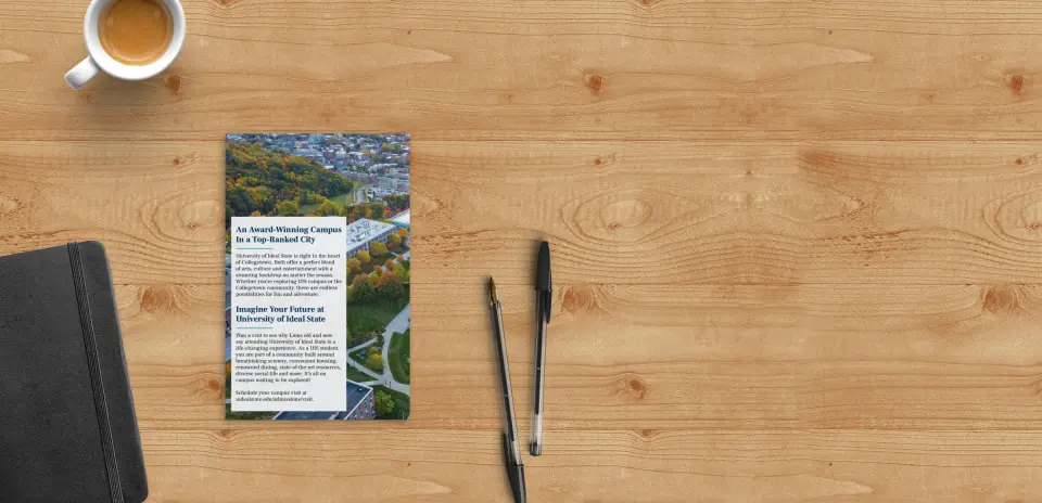 Brochure Back