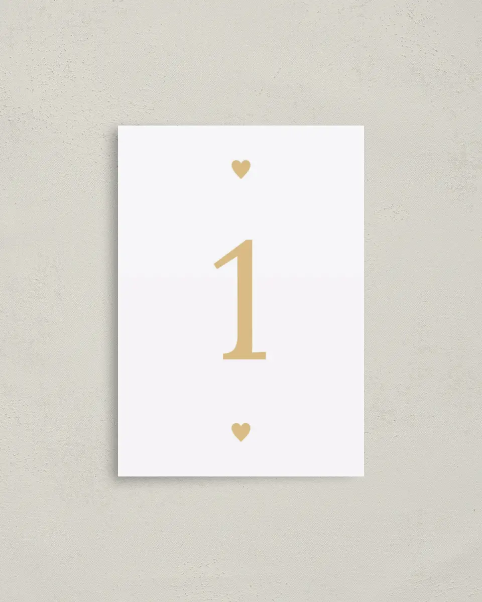 This is a 3½" x 5" Quinceanera Table Number called Then & Now printed in full color