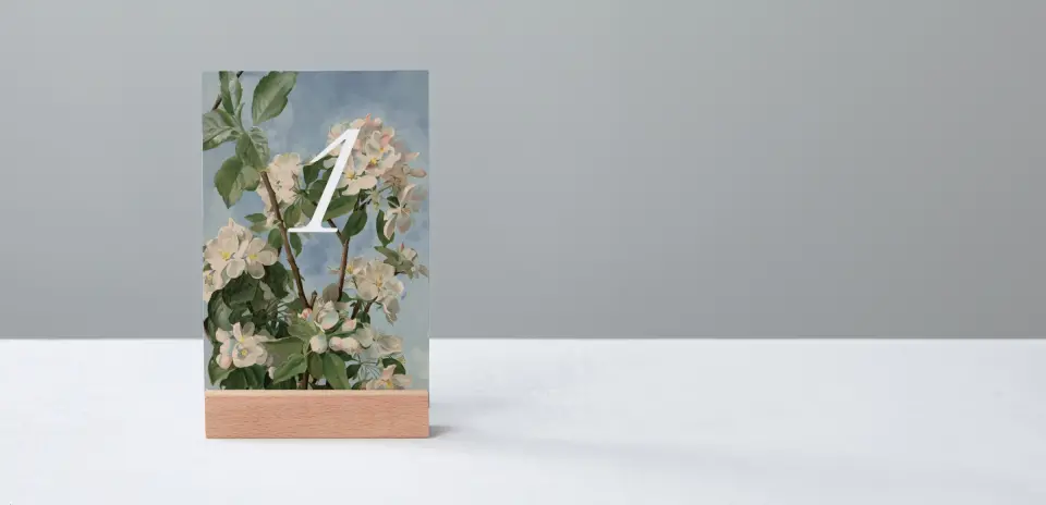 Table Number Into