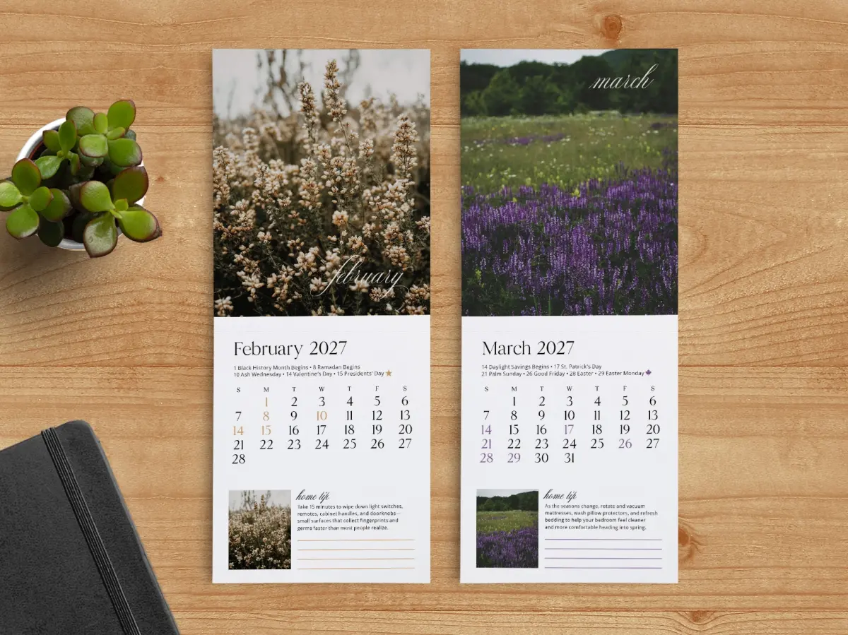 Tear-Off Calendar February & March Pages
