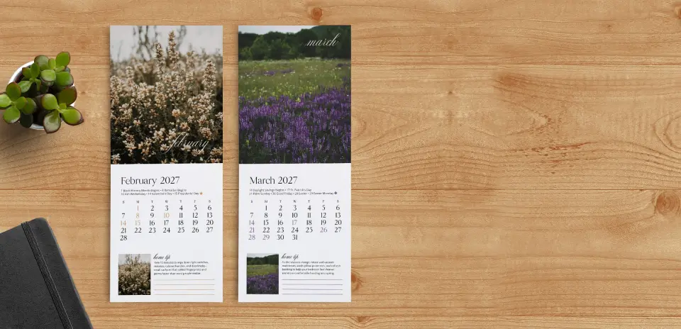 Tear-Off Calendar February & March Pages