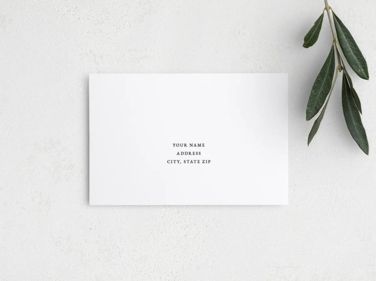 Step RSVP Postcards Back View