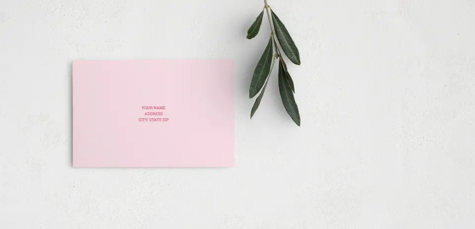 Step RSVP Postcards Back View
