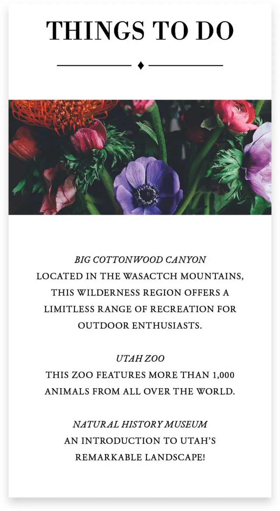 This is a  4" x 7.5" Information Cards (Pocket Invitation) called Lush Botanicals printed in full color on Premium Smooth paper