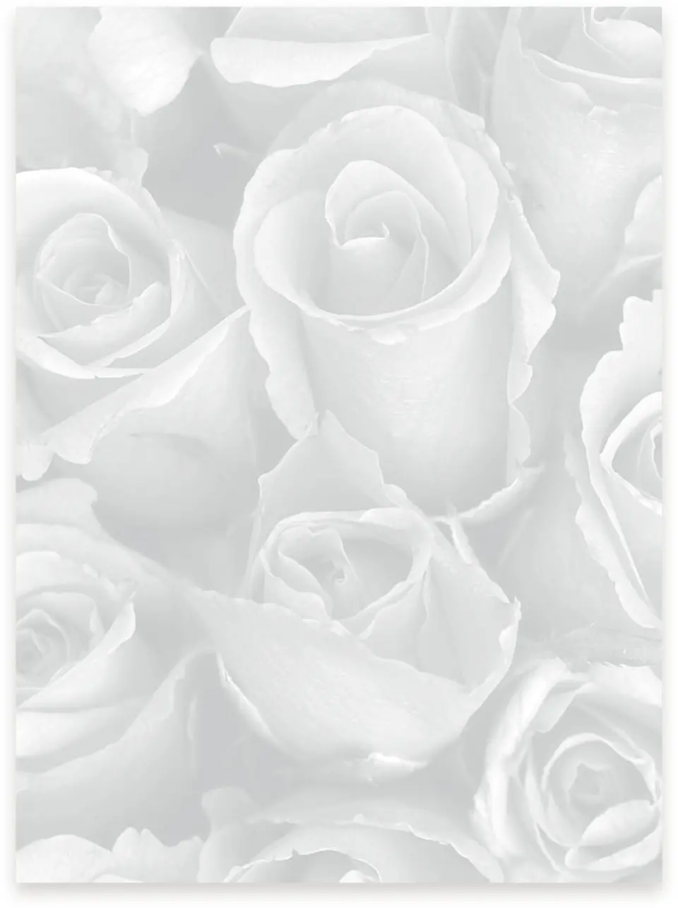 This is a 5¼" x 7.125" Vellum called Dramatic Roses printed in full color