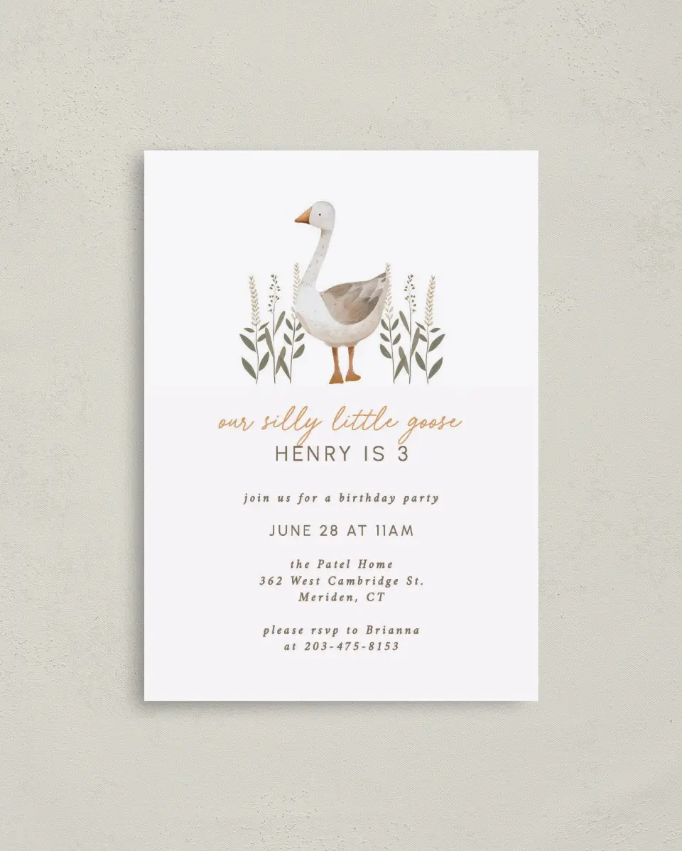 This is a 4" x 5.6" Birthday Party Invitation called Silly Goose printed in full color on Soft Touch Finish paper