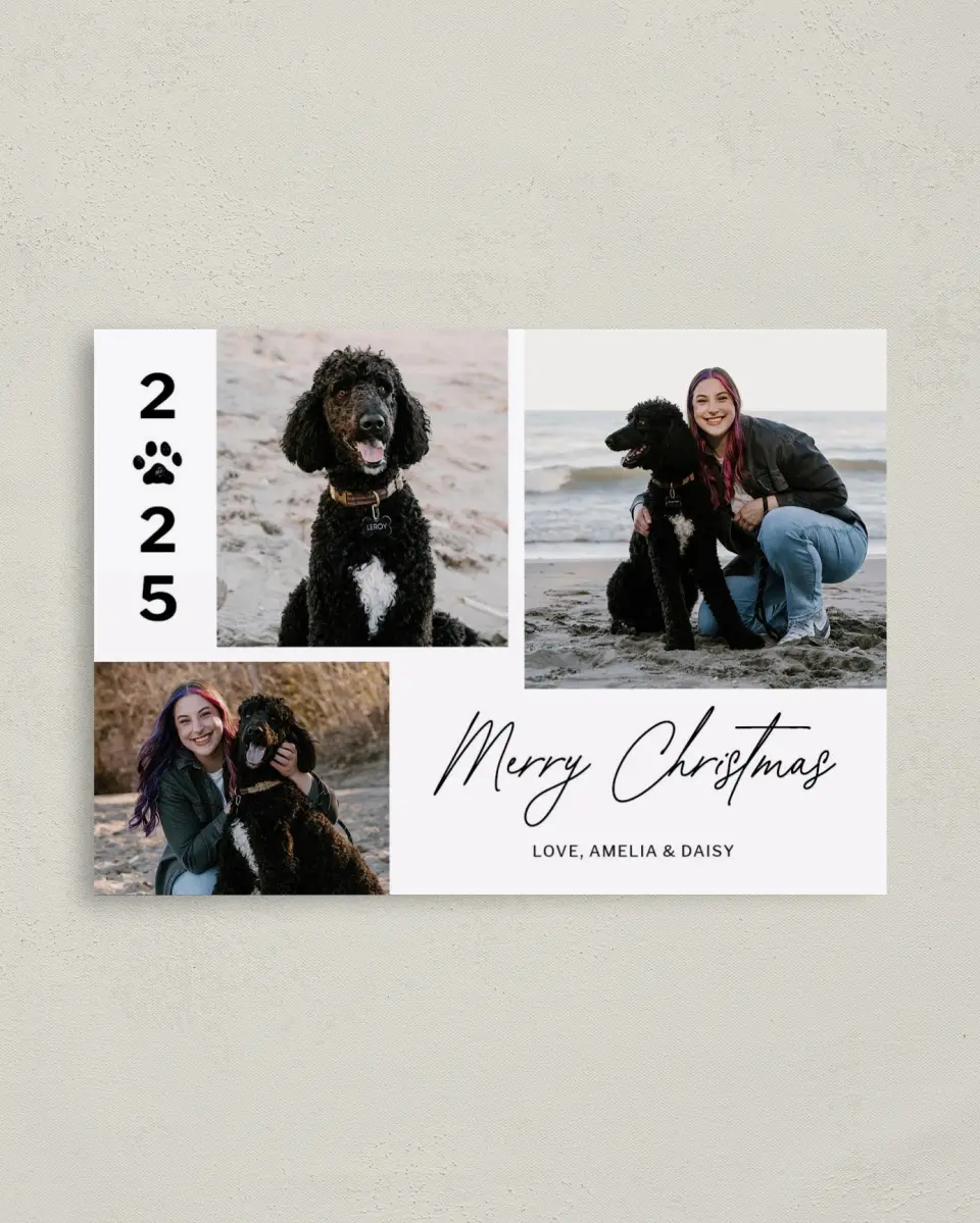 This is a 4" x 5.6" Christmas Card called Happy Paws printed in full color on Premium Smooth paper