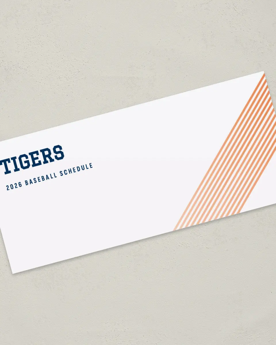 This is a 4" x 9" Baseball Insert called Tigers printed in full color