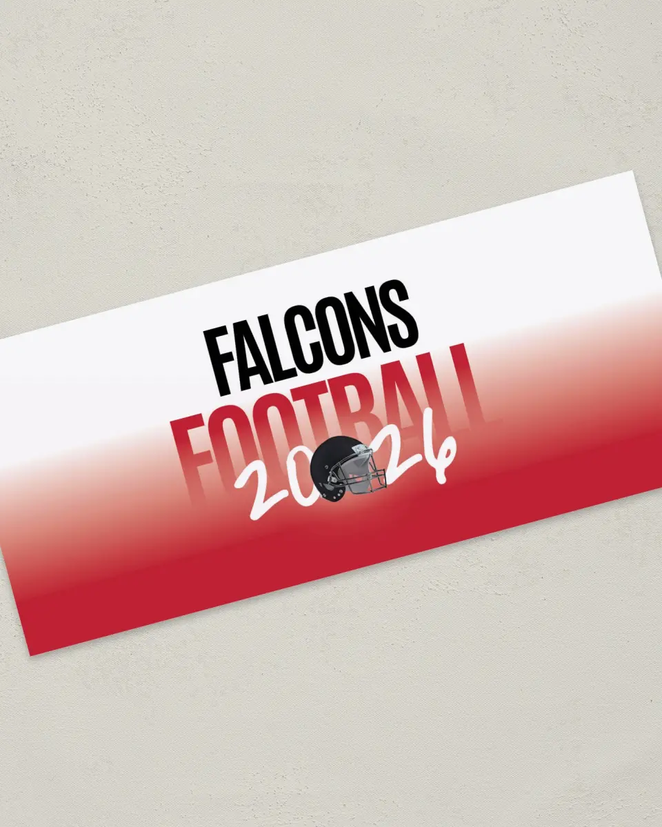 This is a 4" x 9" Football Insert called Falcons printed in full color