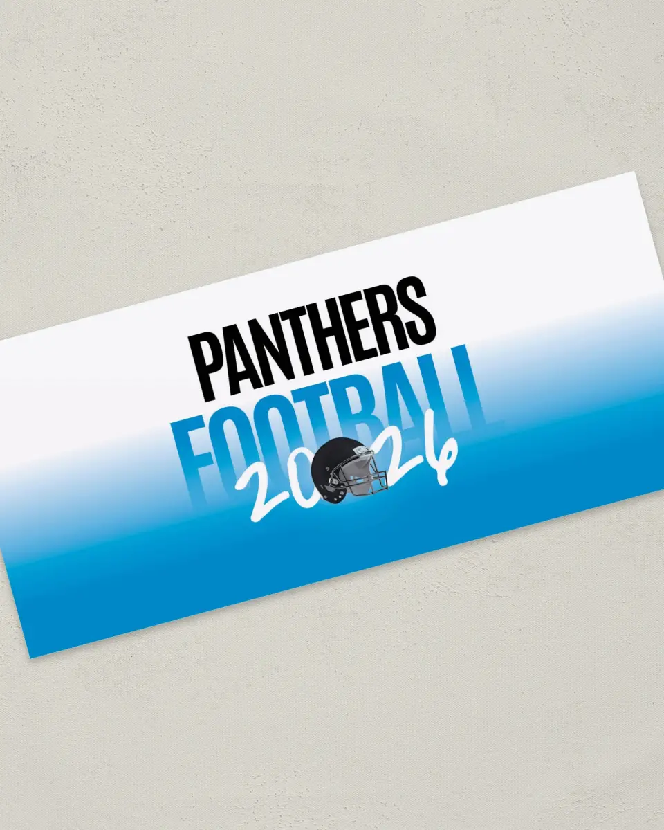 This is a 4" x 9" Football Insert called Panthers printed in full color