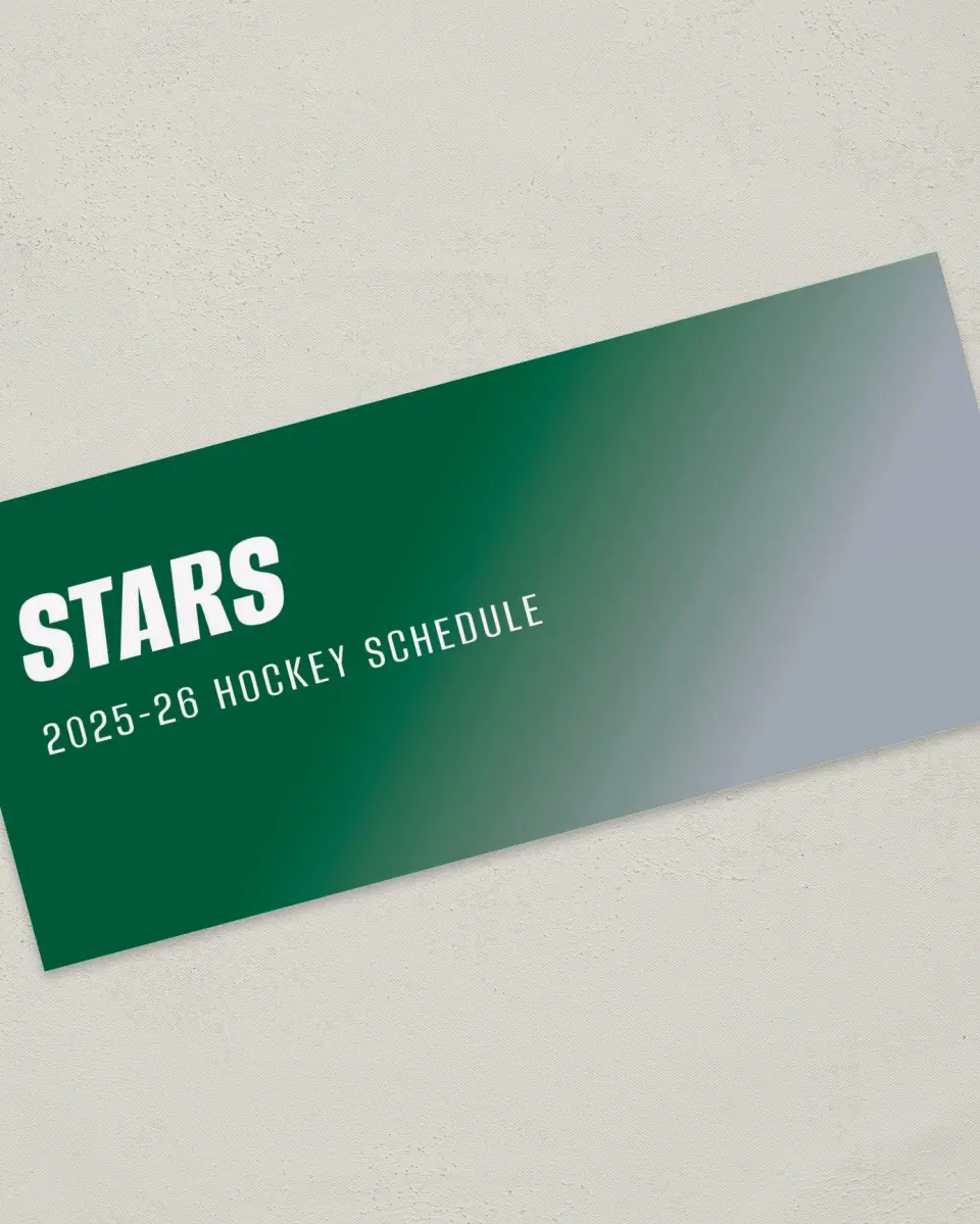 This is a 4" x 9" Marketing Insert called Dallas Stars printed in full color