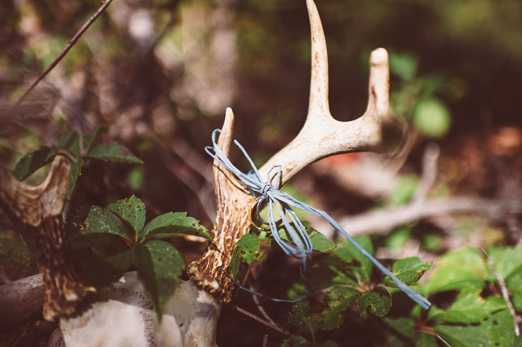 Antler wedding decor