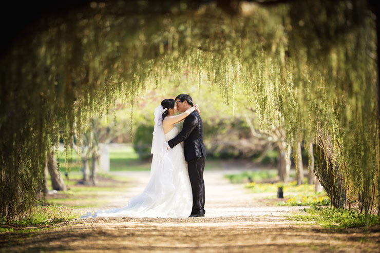 Kissing under a canopy