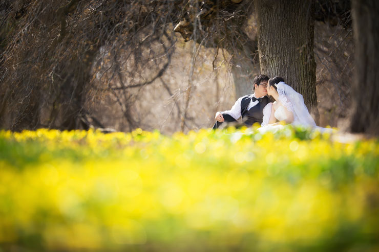 "Off in the distance" wedding photo idea Romantic moment off in the distance