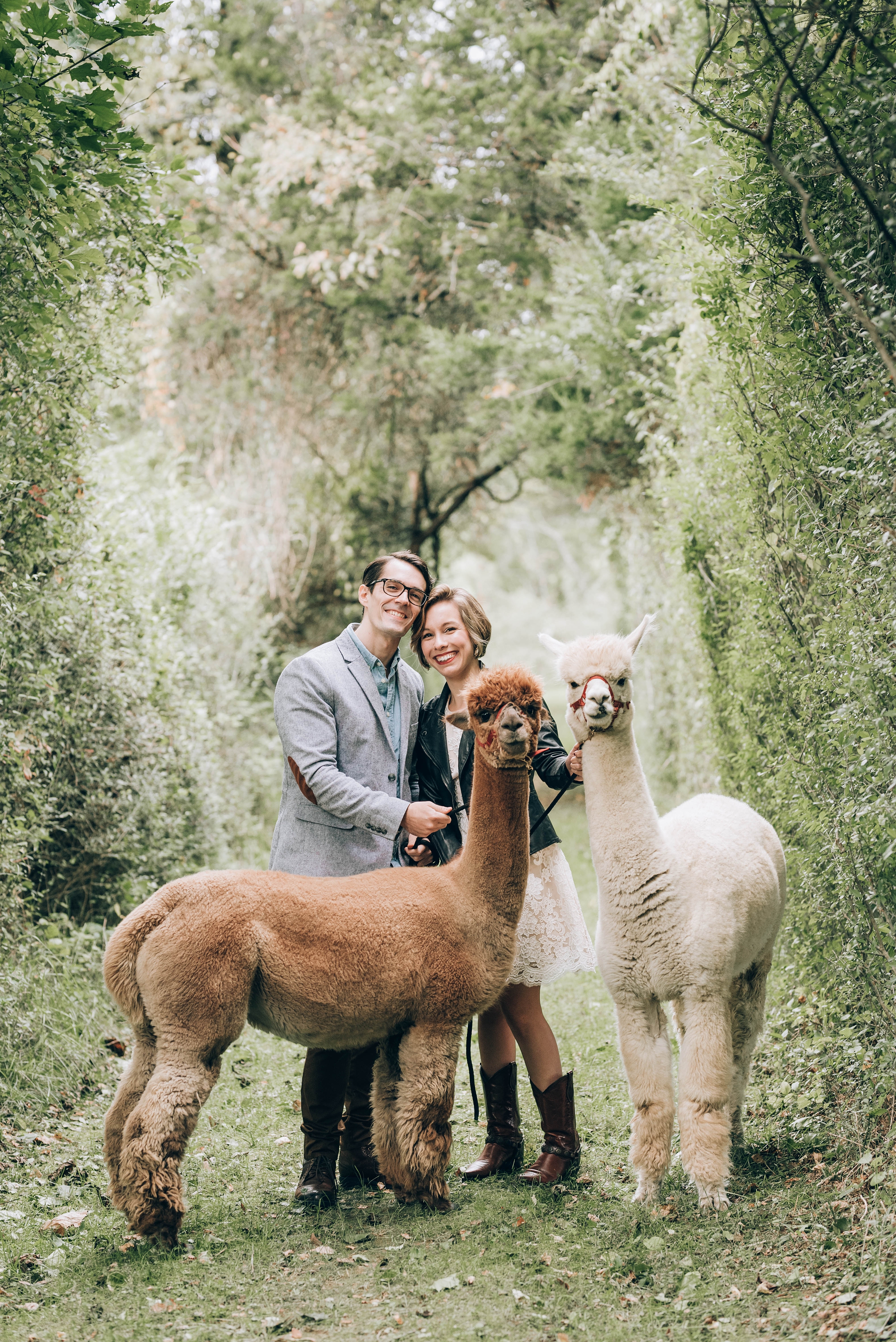 Joyful Autumn Alpaca Engagement Shoot