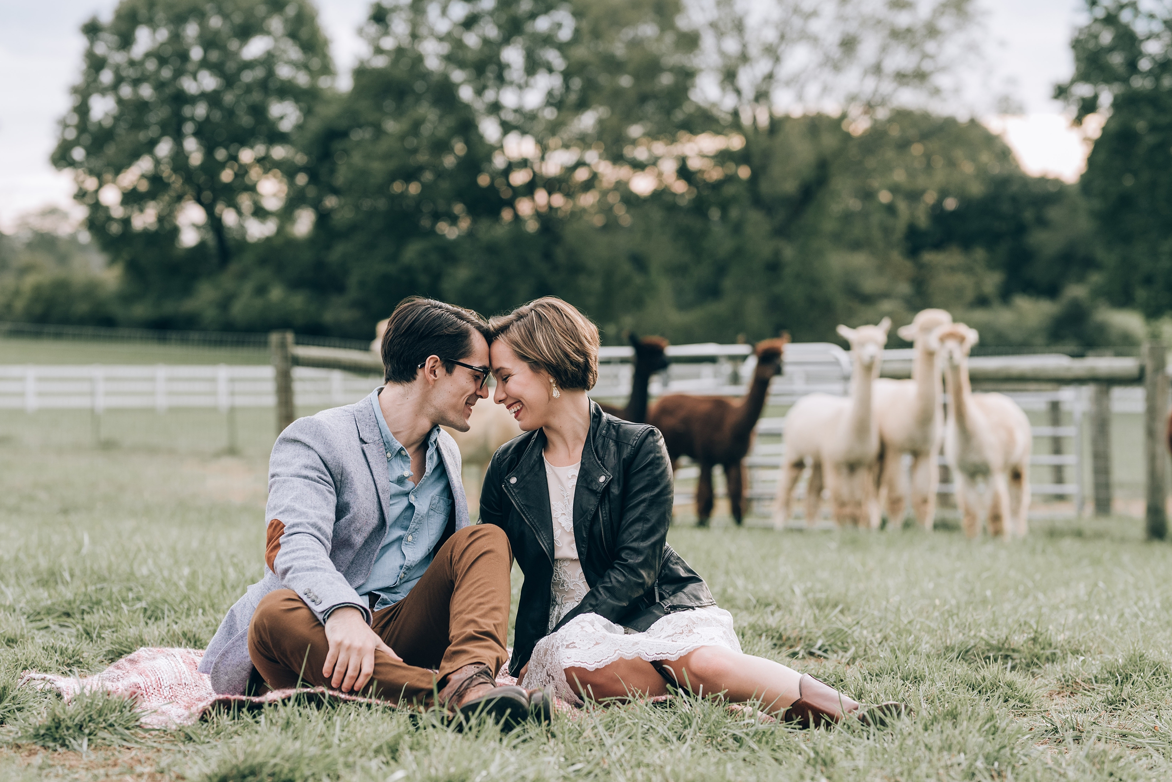 Joyful Autumn Alpaca Engagement Shoot