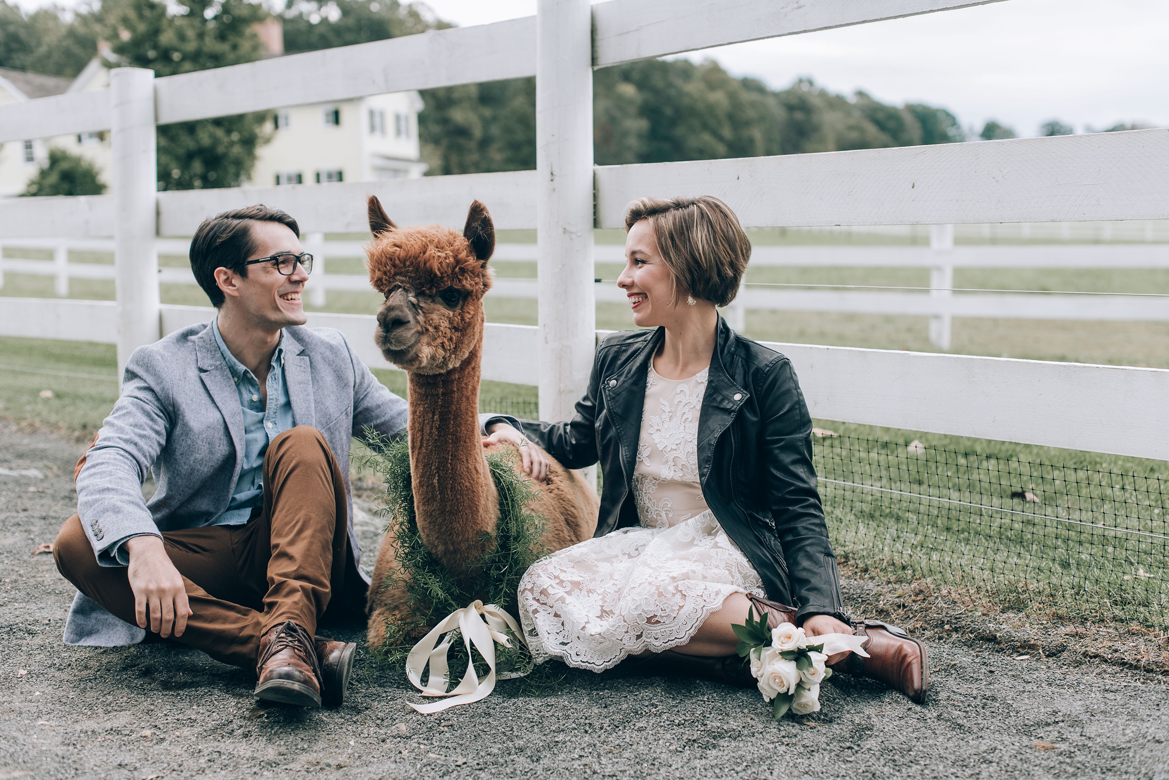 Joyful Autumn Alpaca Engagement Shoot